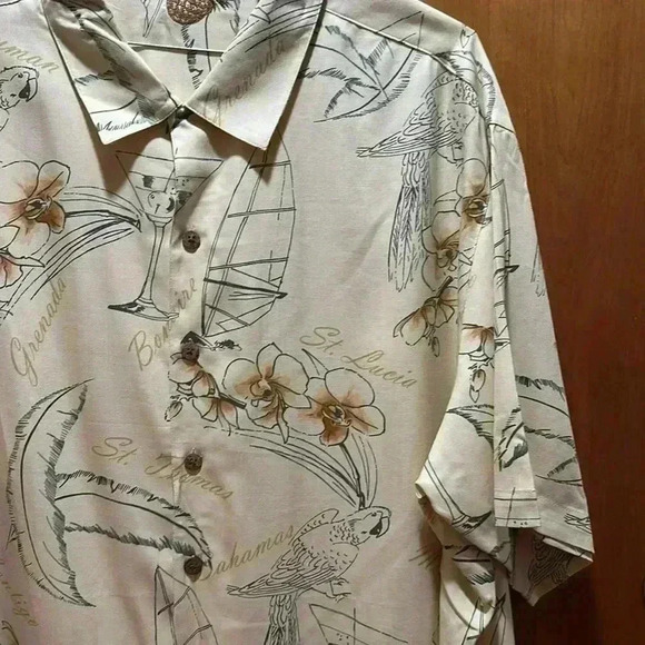 Men’s button-down silk shirt - Picture 2 of 5